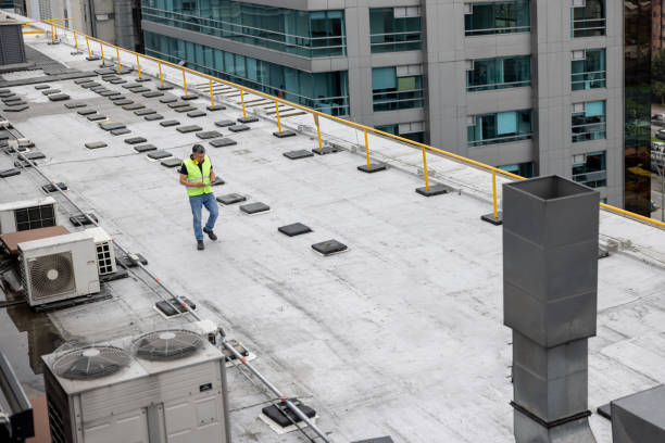 Sheet Metal Roofing in Haliimaile, HI